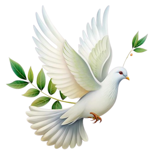 Peace dove icon